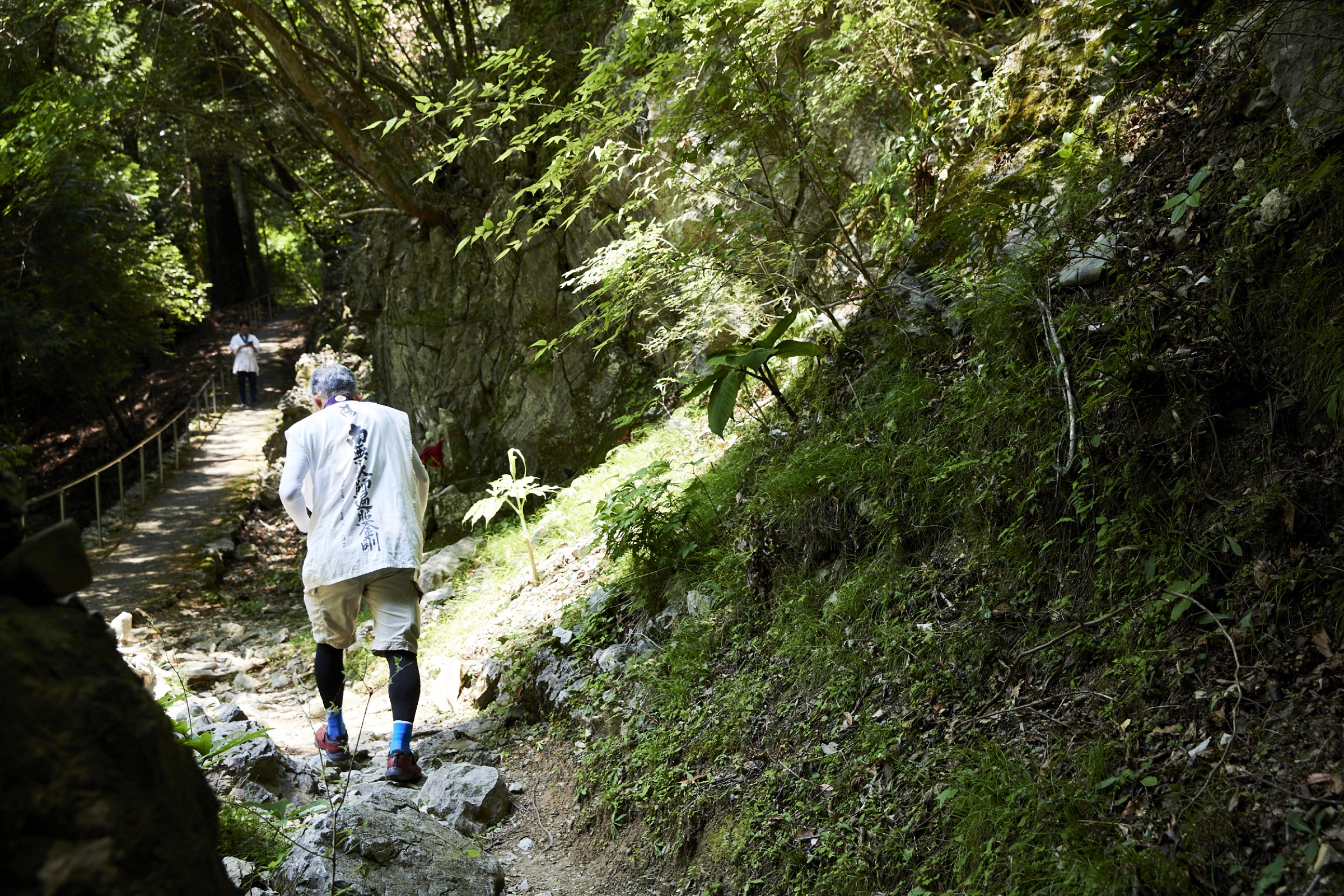 白装束の遍路、木漏れ日の山道を歩く