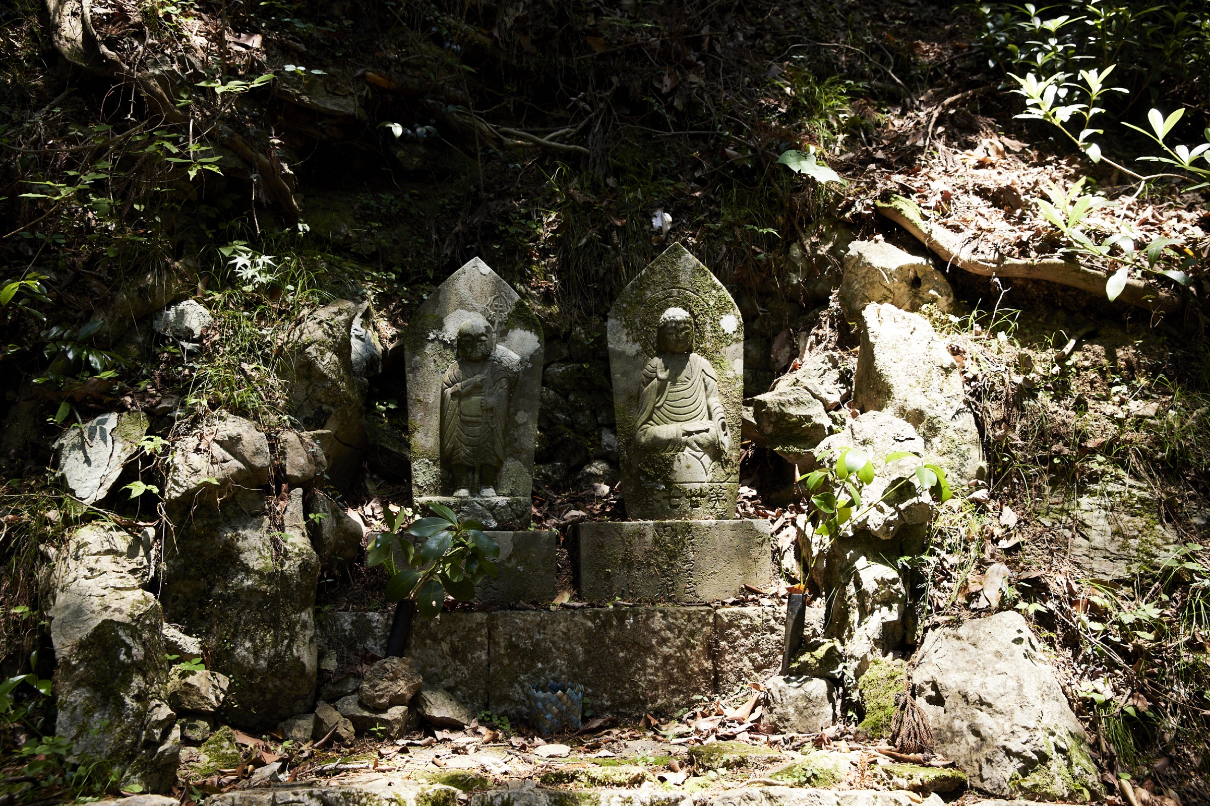 朱の鳥居の前を歩く旅人
